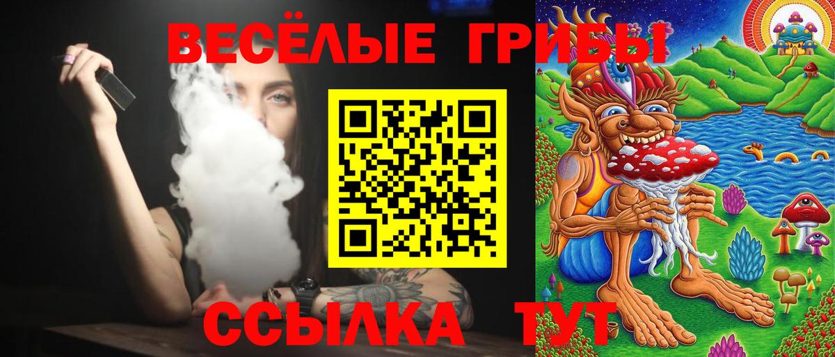 Псилоцибиновые грибы MAGIC MUSHROOMS  Вход с VPN  Лесной 