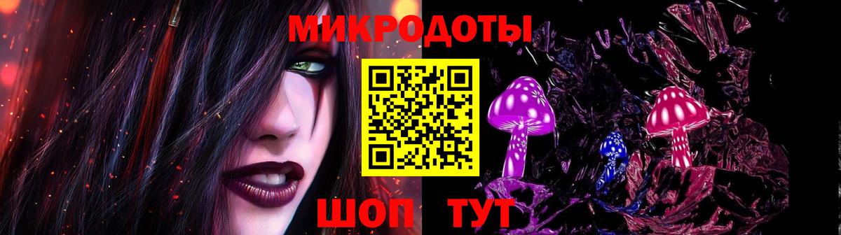 Псилоцибиновые грибы мицелий Лесной